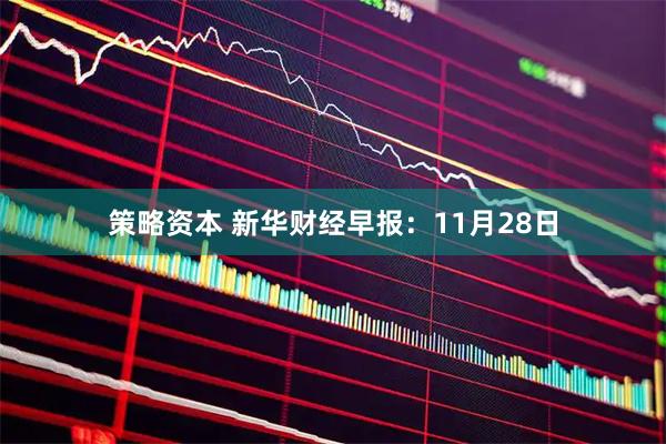 策略资本 新华财经早报：11月28日