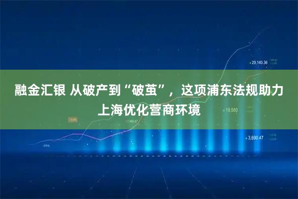 融金汇银 从破产到“破茧”，这项浦东法规助力上海优化营商环境